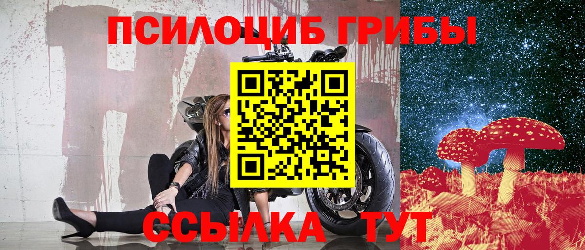 Галлюциногенные грибы прущие грибы Кизляр