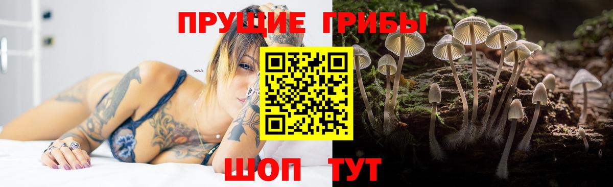 наркошоп  Галлюциногенные грибы ЛСД  Вход с VPN  Кизляр 